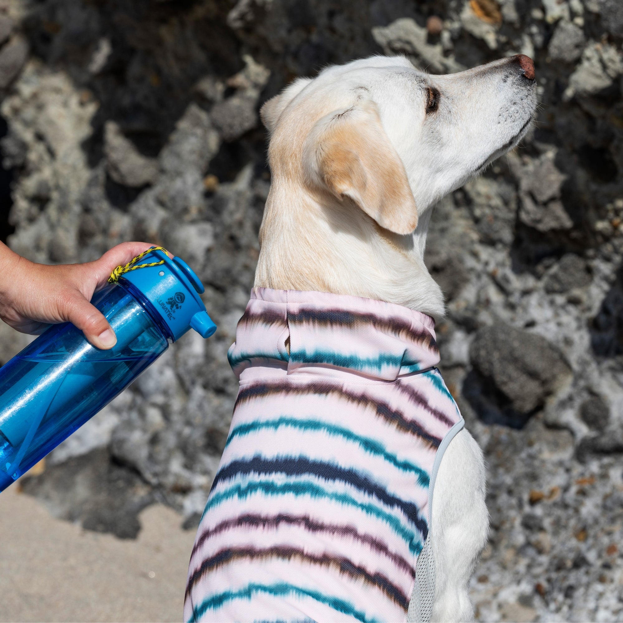 SUMMER COOLING NECK　サマークーリングネック　 CORAL