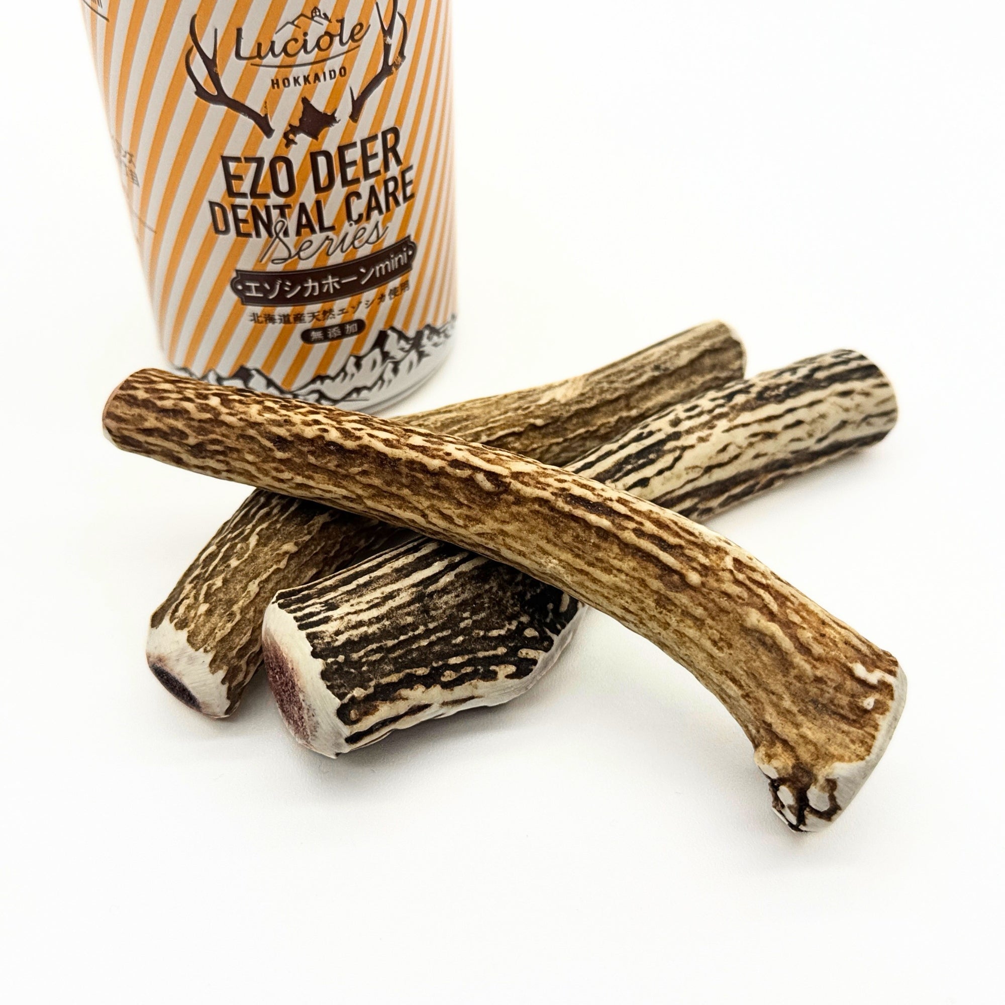Sika Deer Dental Care Horn