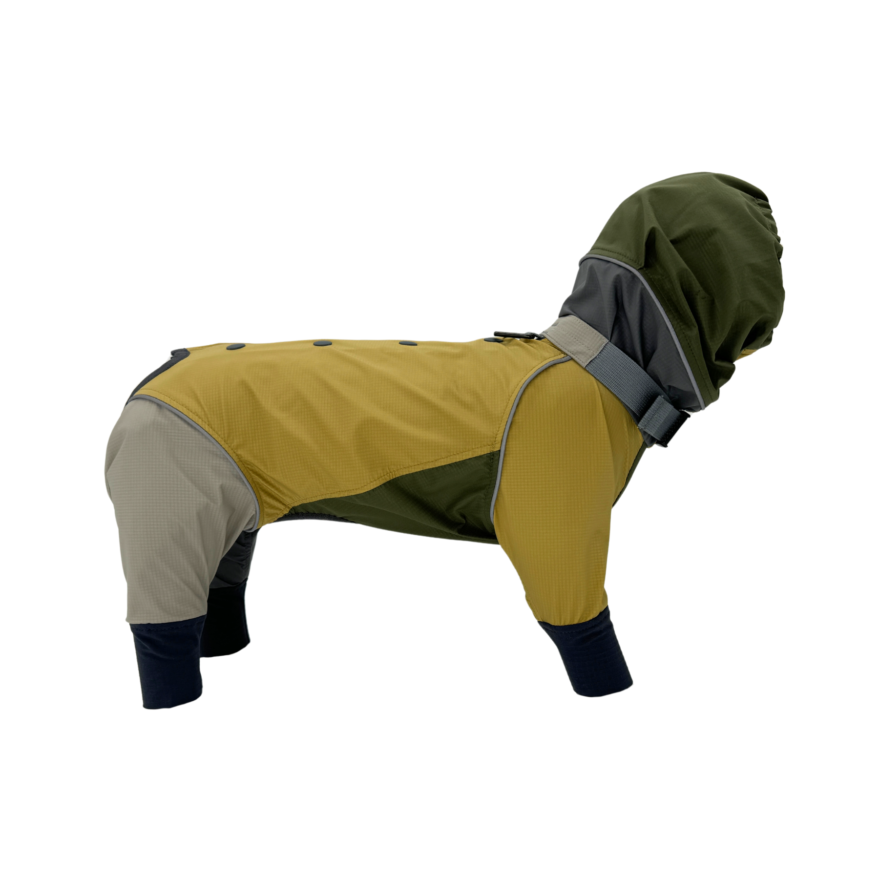 RAIN DOG GUARD MINT