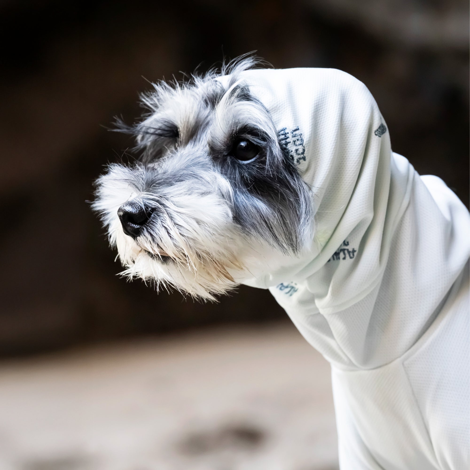 DOG GUARD COOL　ドッグガードクール　HAZE