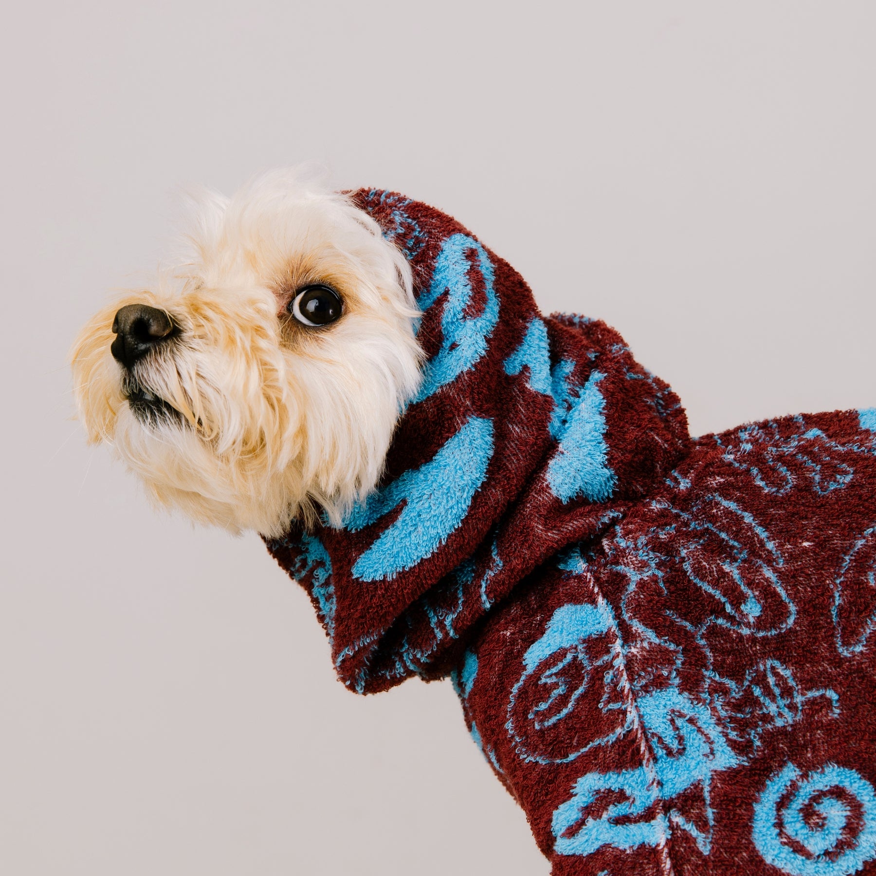DOGGY ROBE Doggy Robe Gray