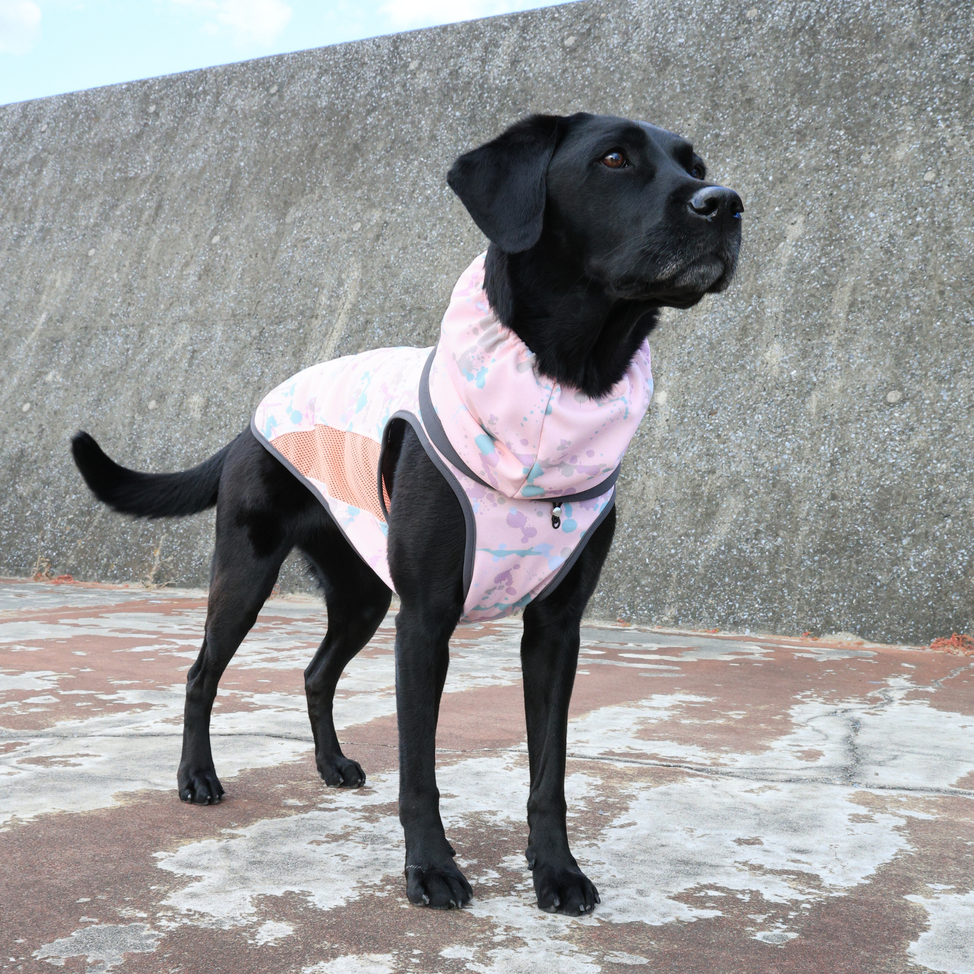 COOL SNOOD LAVENDER MIST