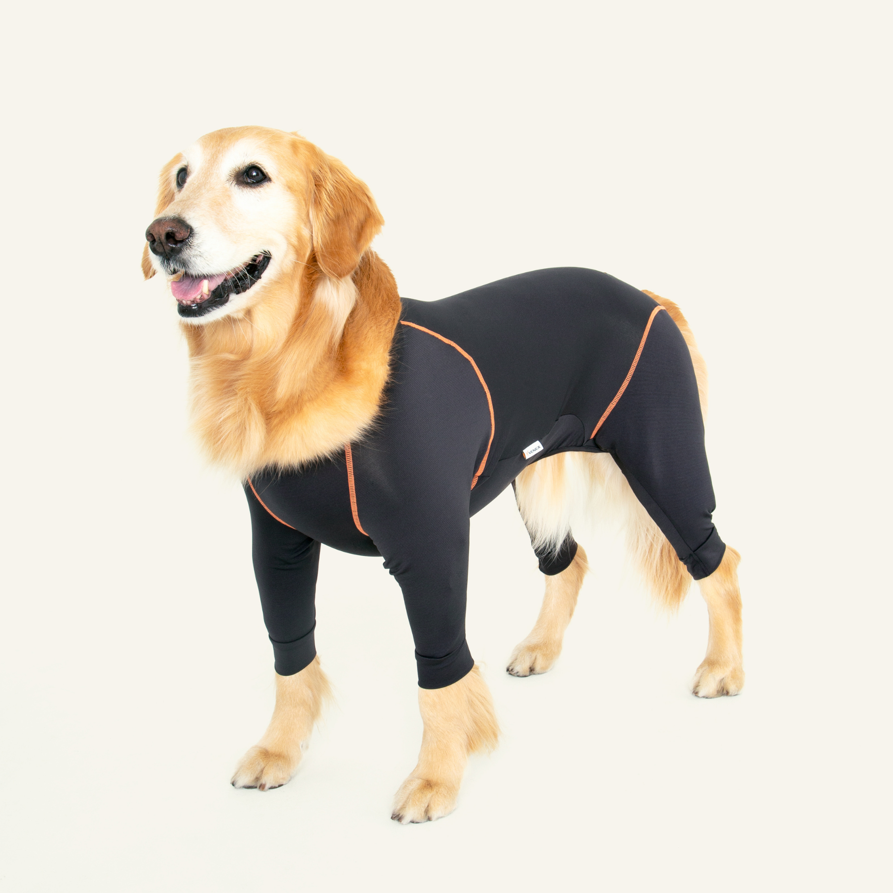 RECOVERY DOGWEAR　リカバリードッグウェア