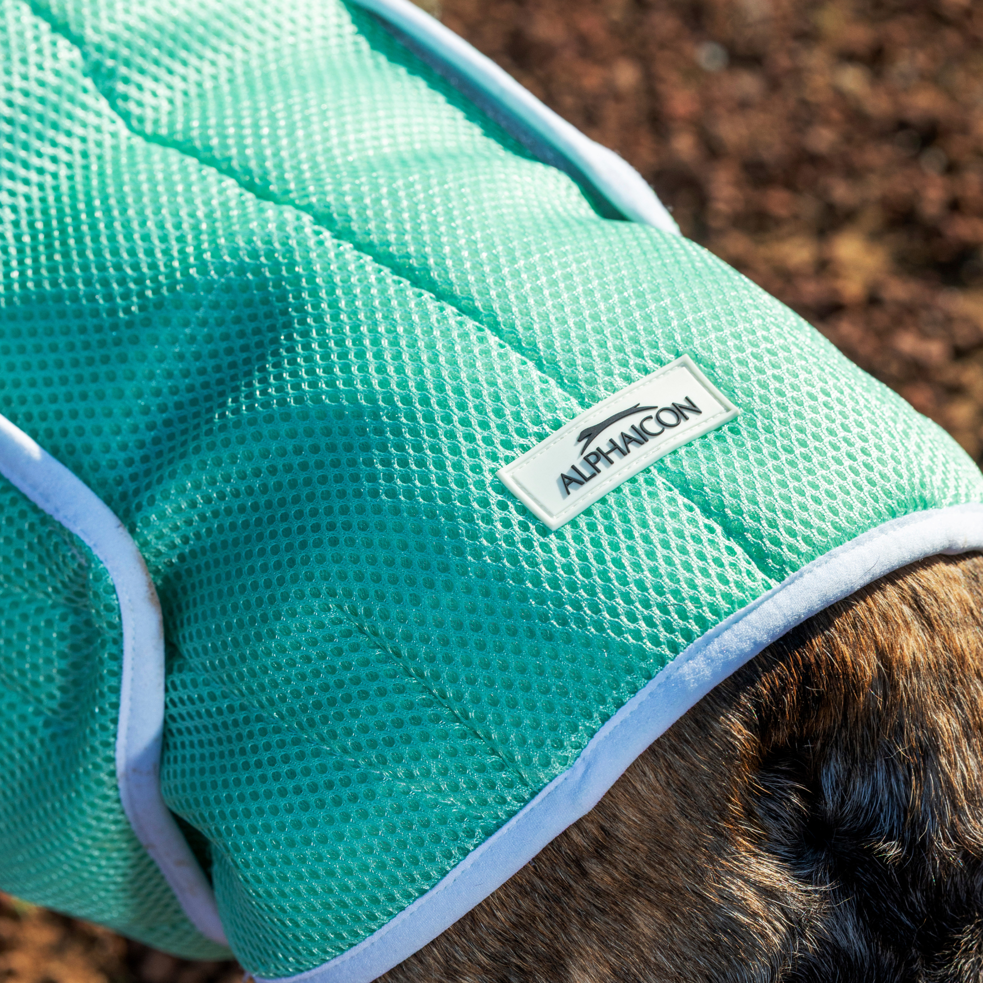 SUPER COOLING VEST REEF