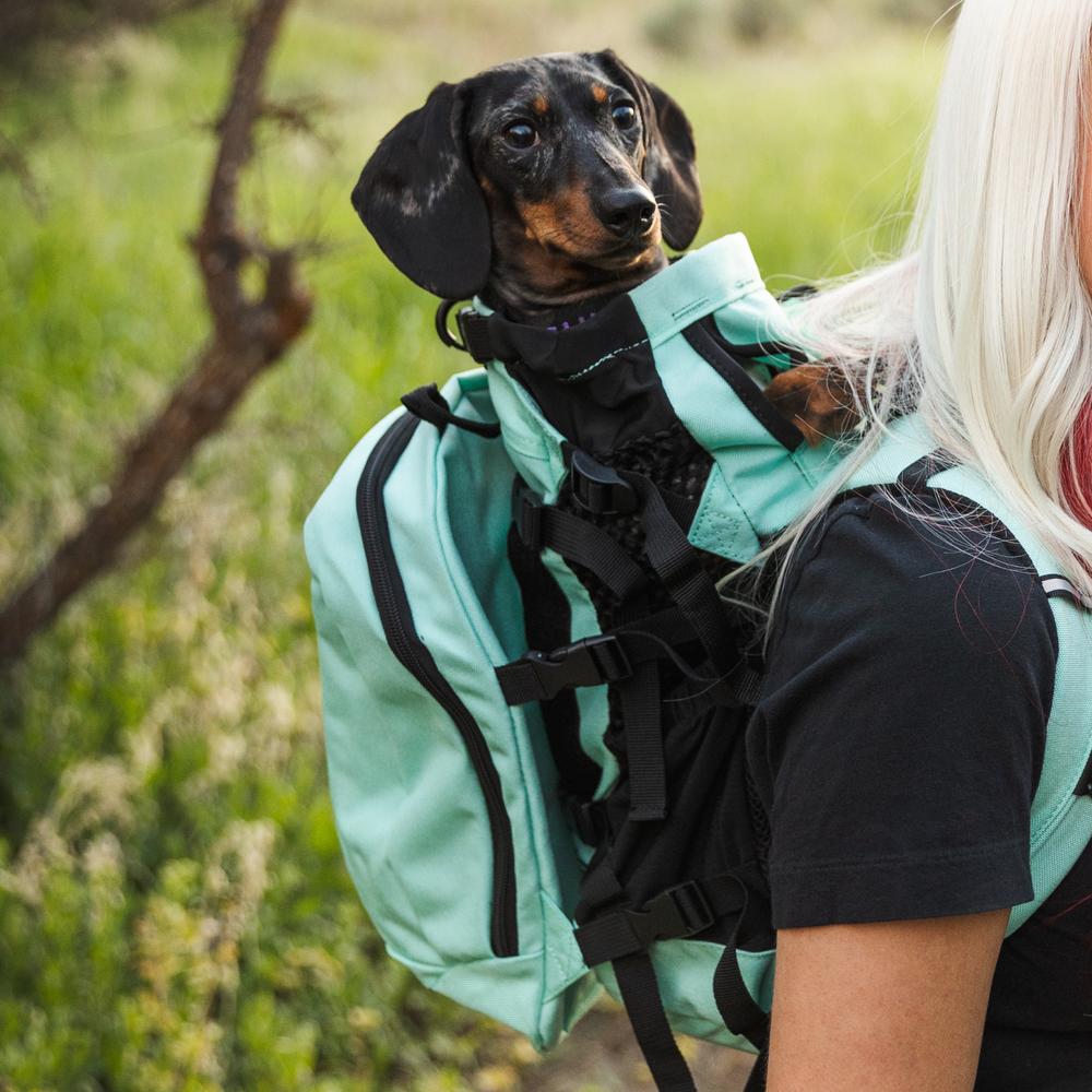 K9 Sport Sack AIR Plus 2 Mint