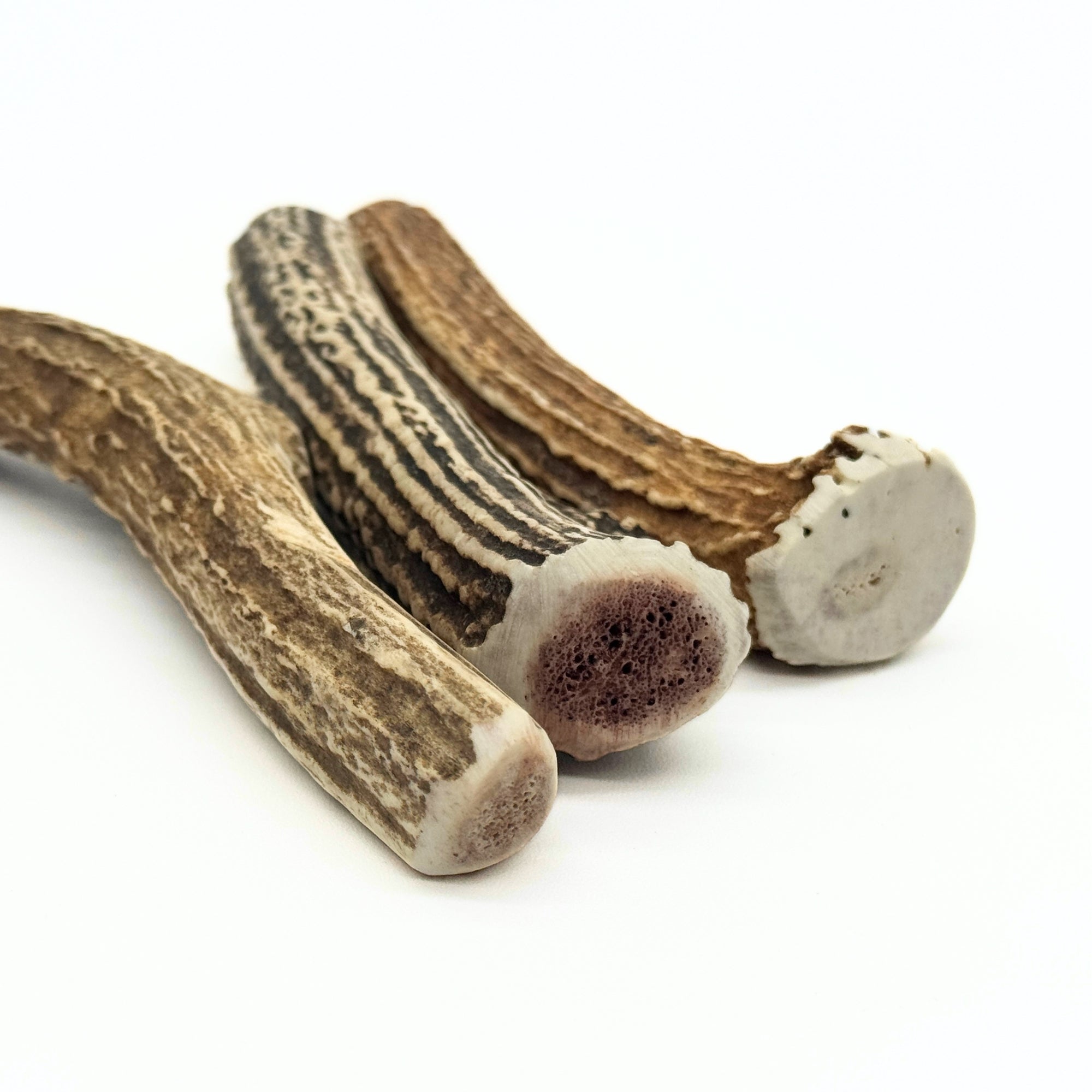Sika Deer Dental Care Horn