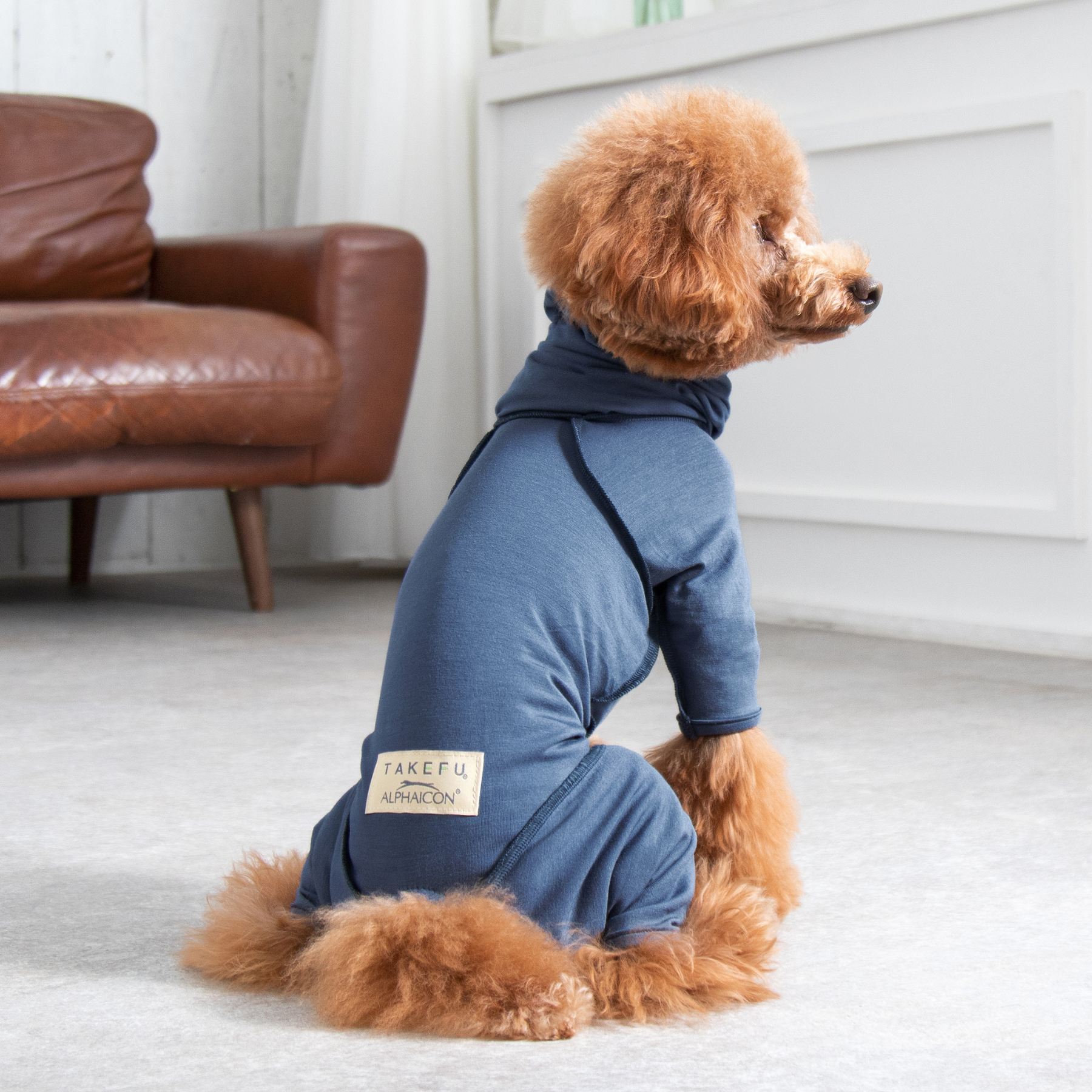 TAKEFU DOGWEAR TAKEFU DOGWEAR Blue