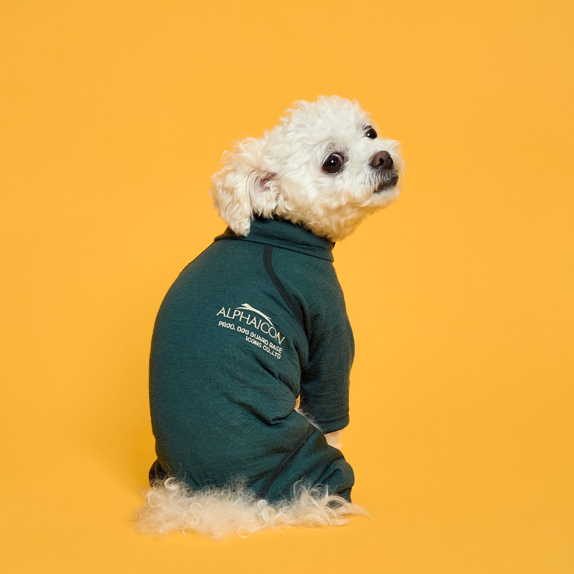 DOG GUARD BASE　ドッグガードベース　MINERAL GREEN