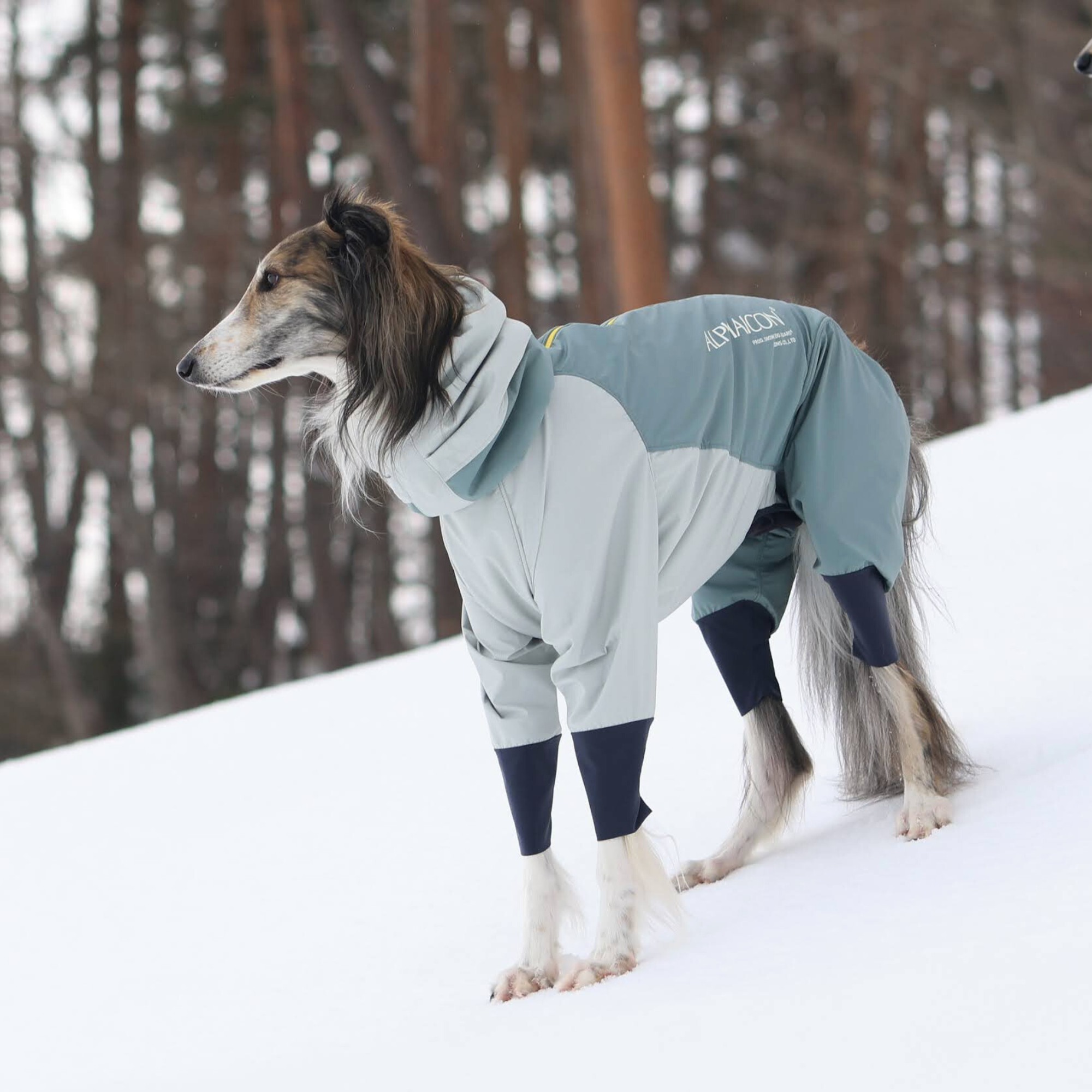 ALPHAICON レインコート ダークブルー ALPHAICON レインコート ダークブルー 新商品情報】RAIN DOG