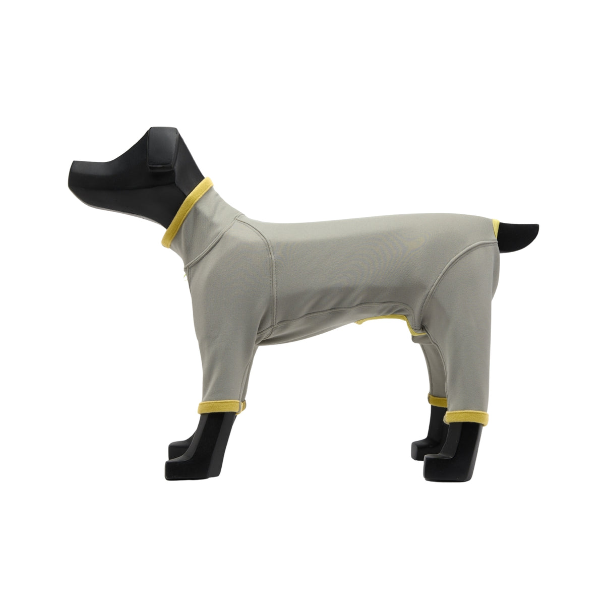 HOT DOG GUARD ホットドッグガード STONE × LINDEN