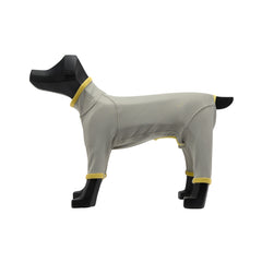HOT DOG GUARD ホットドッグガード STONE × LINDEN