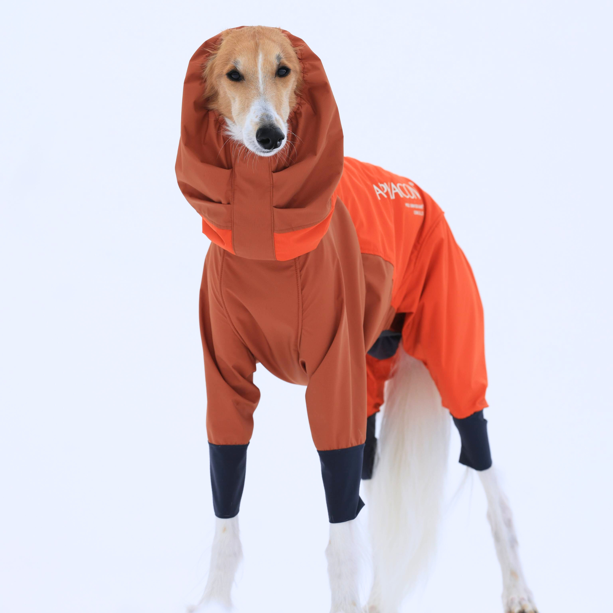 SNOW DOG GUARD　スノードッグガード　DIETER ORANGE