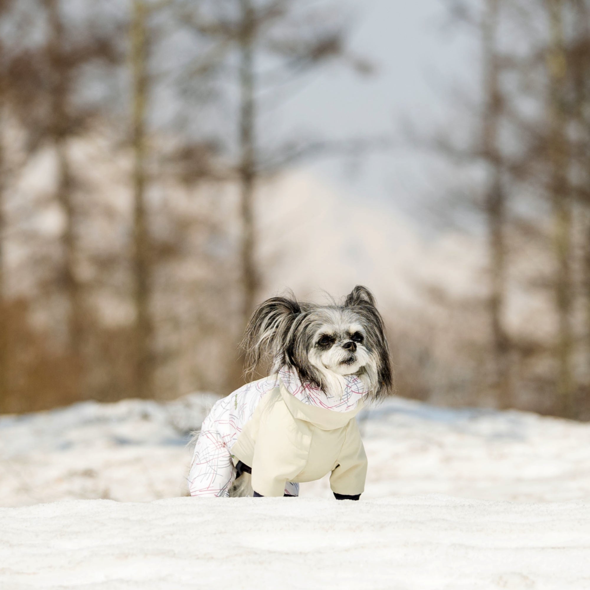 【抽選販売】DOG GUARD AIR　ドッグガード・エア　FEATHER×GALAH