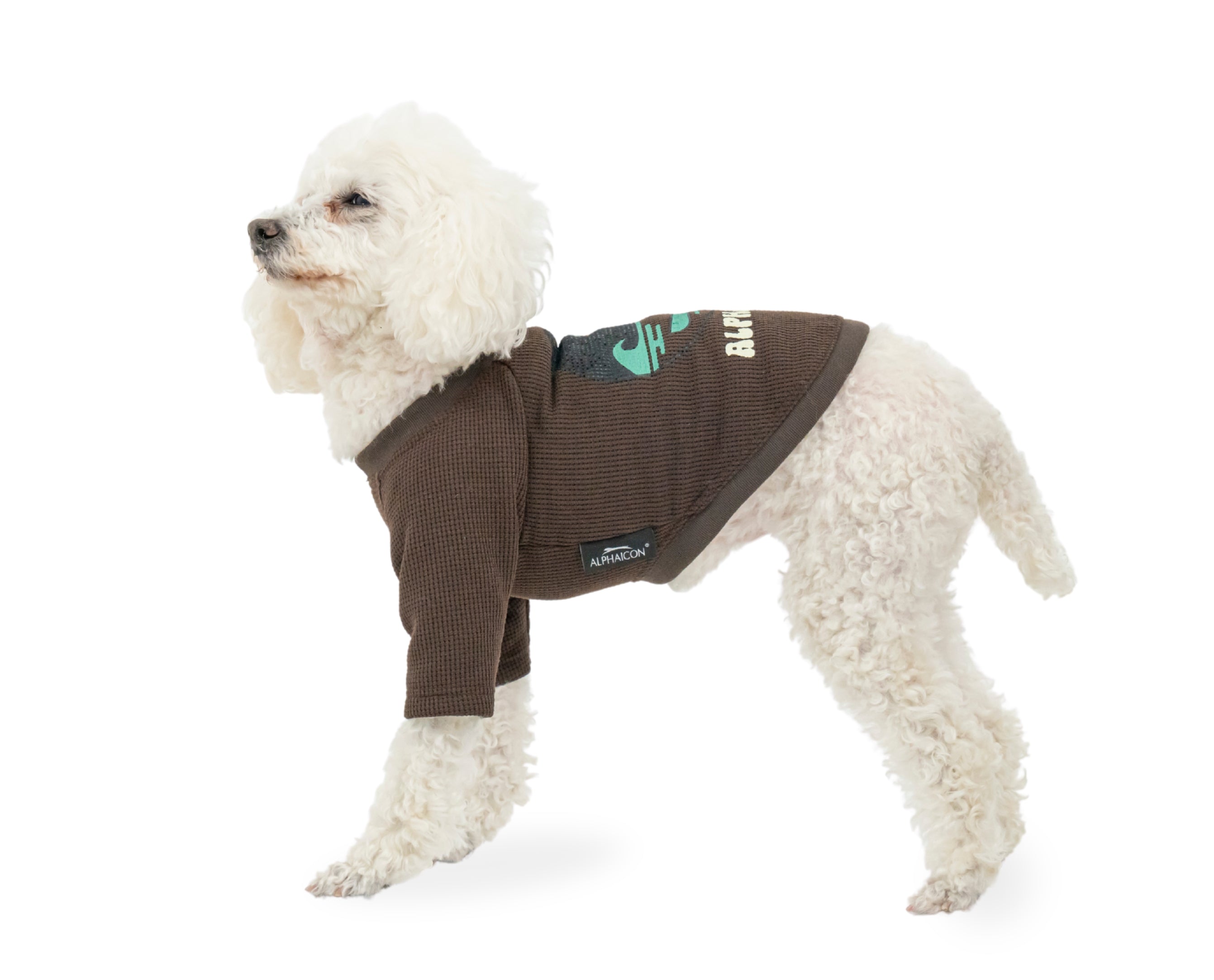 アルファアイコン】ドライニットティー(2026年モデル) - INU