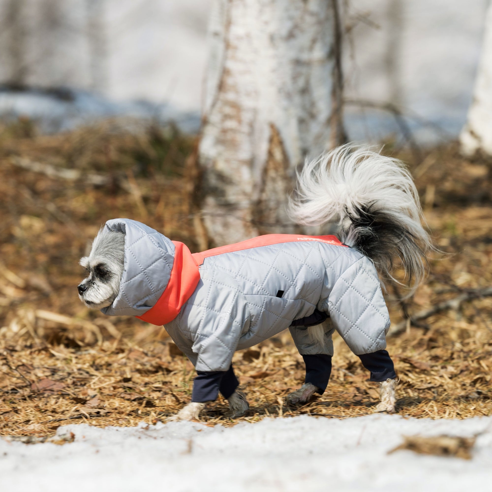 【抽選販売】DOG GUARD AIR　ドッグガード・エア　FEATHER×GALAH