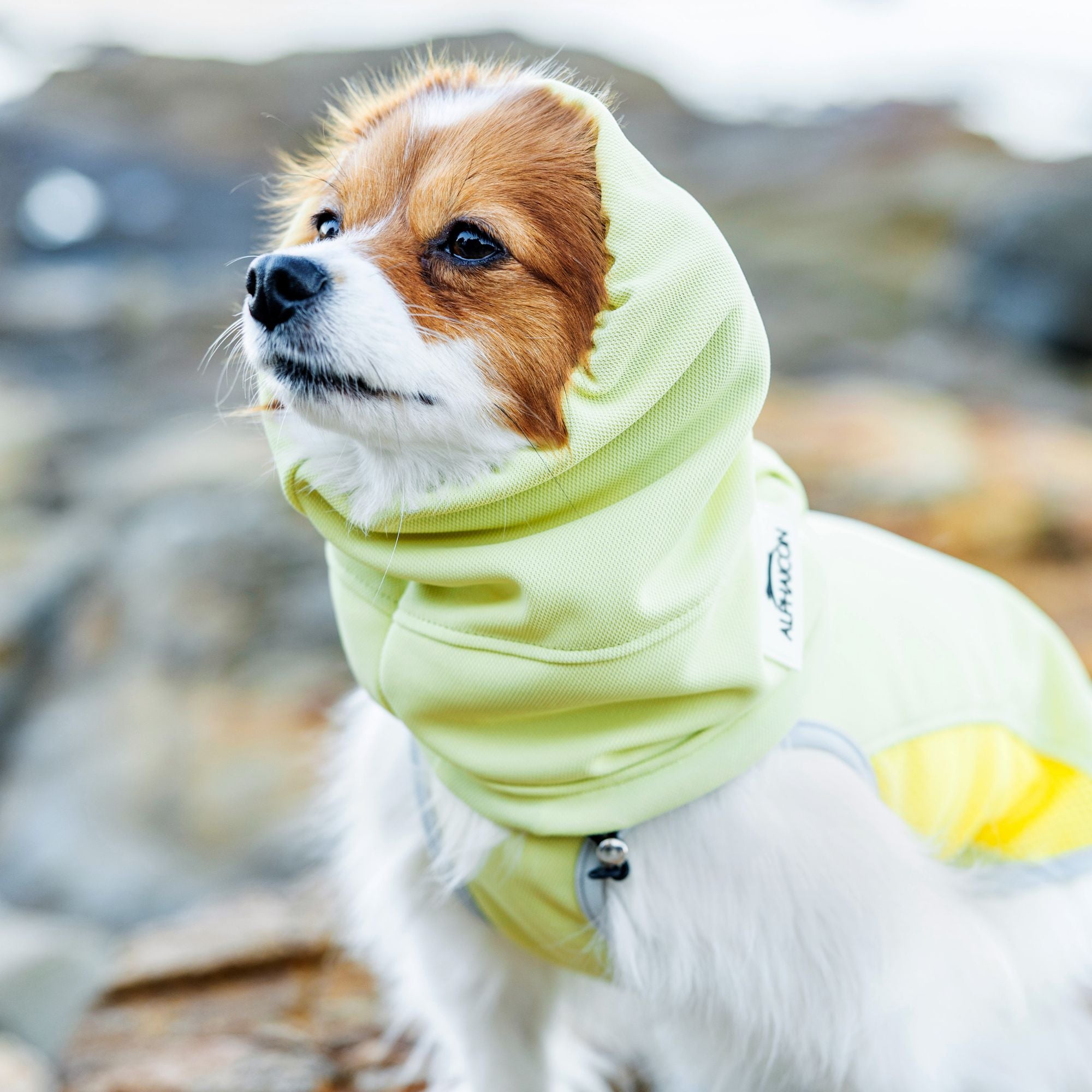 COOL SNOOD　クールスヌード　SOL