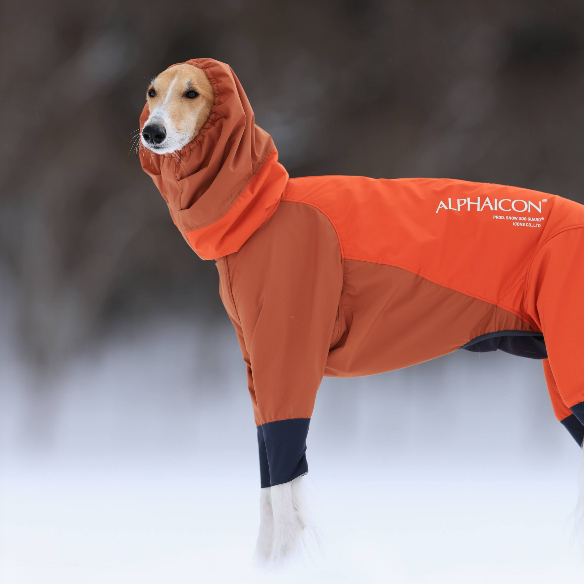 SNOW DOG GUARD　スノードッグガード　DIETER ORANGE