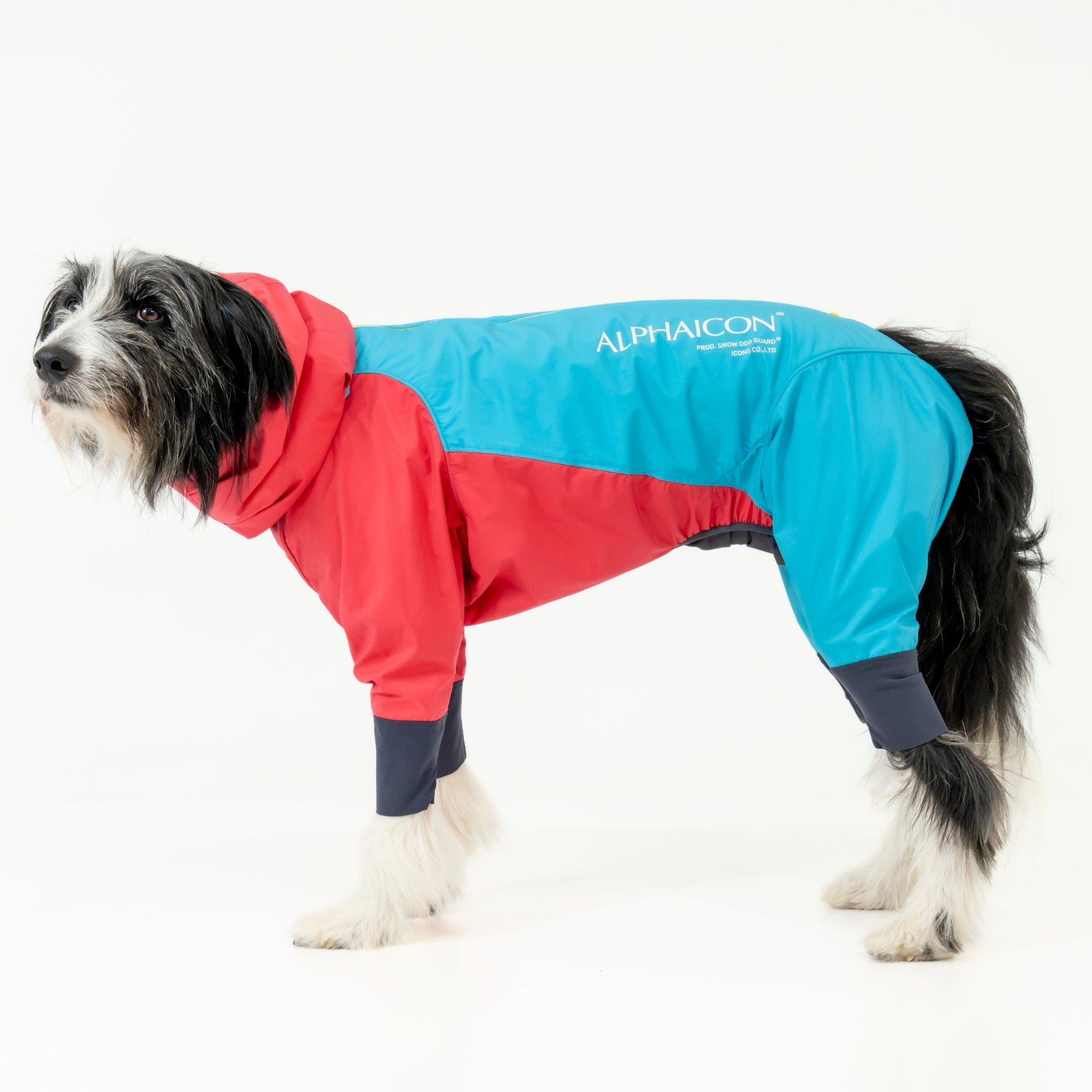 SNOW DOG GUARD RETRO SKI
