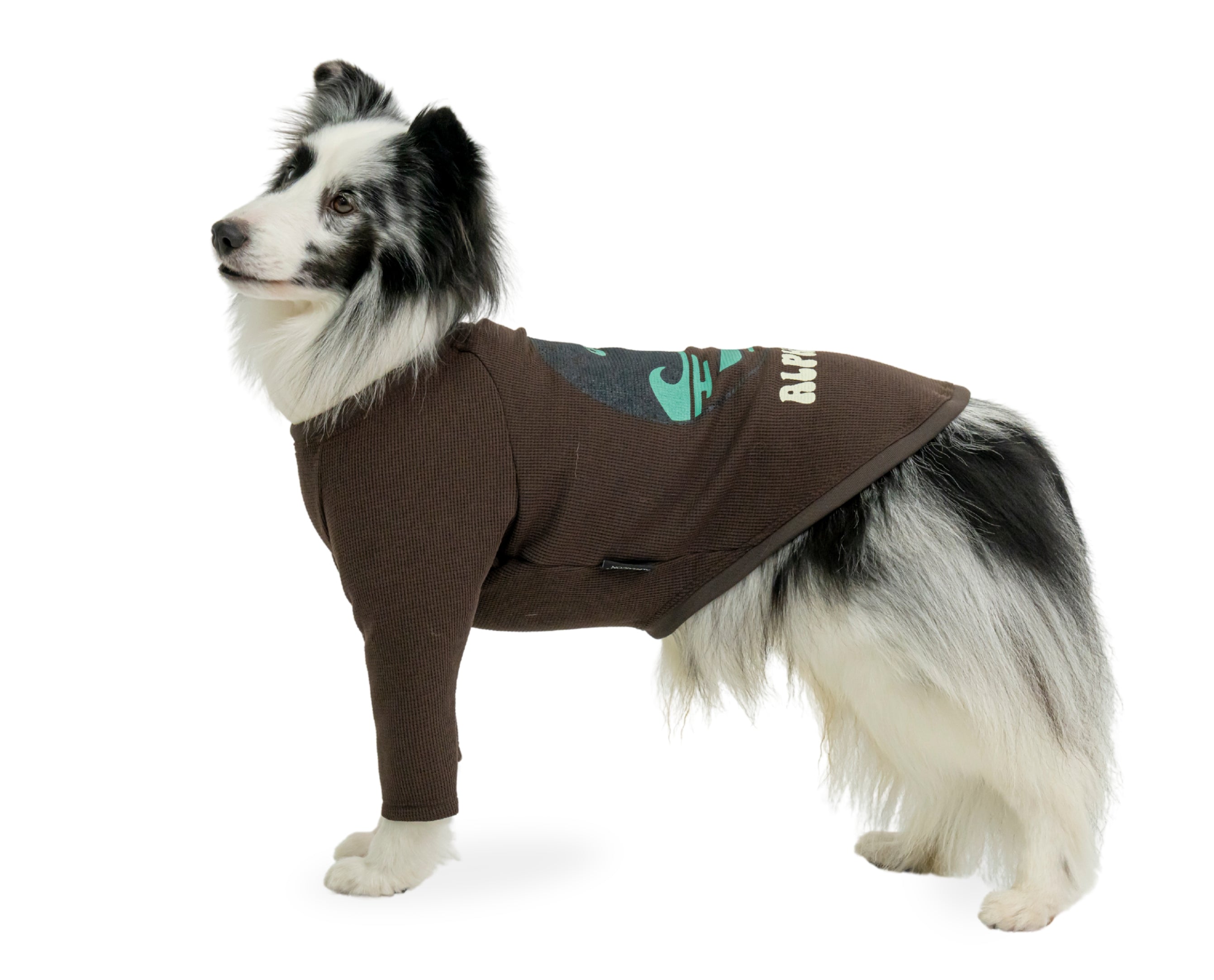 アルファアイコン】ドライニットティー(2026年モデル) - INU