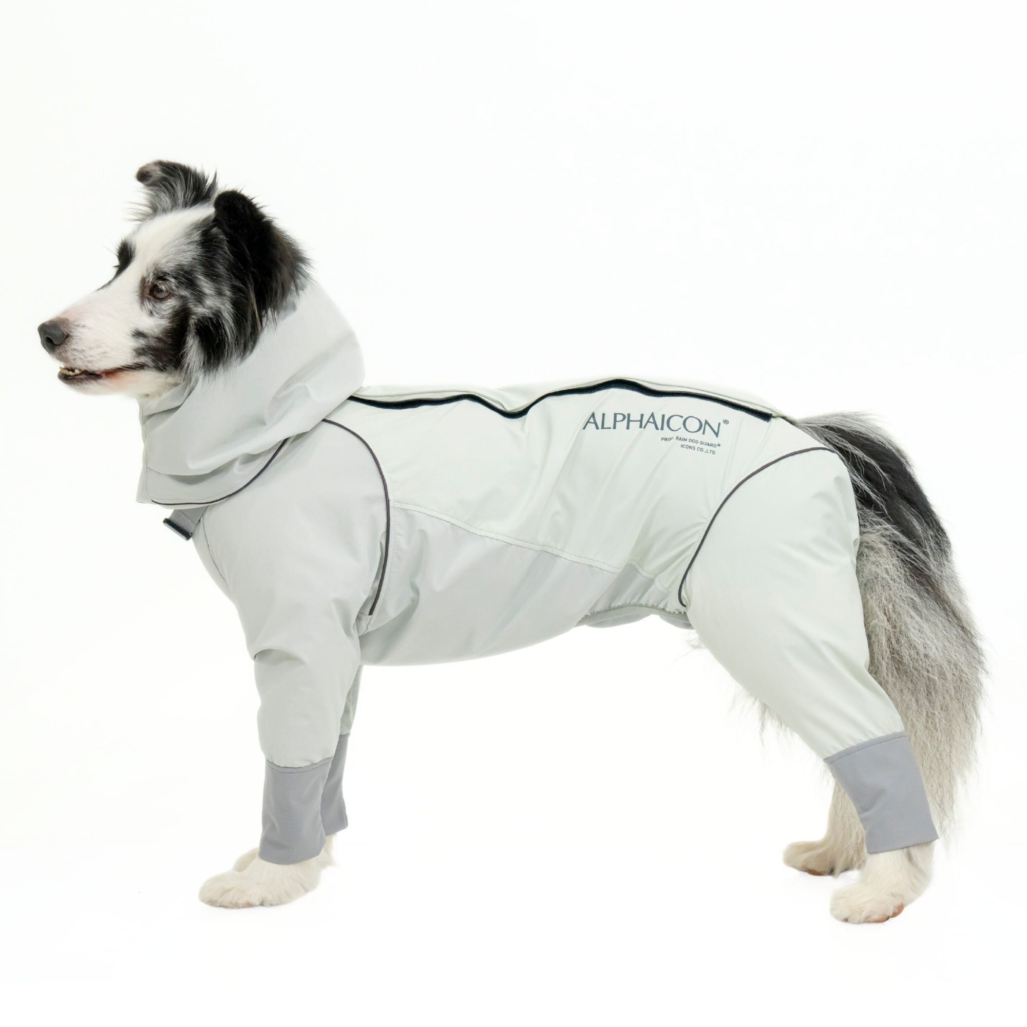 RAIN DOG GUARD　レインドッグガード　HAZE