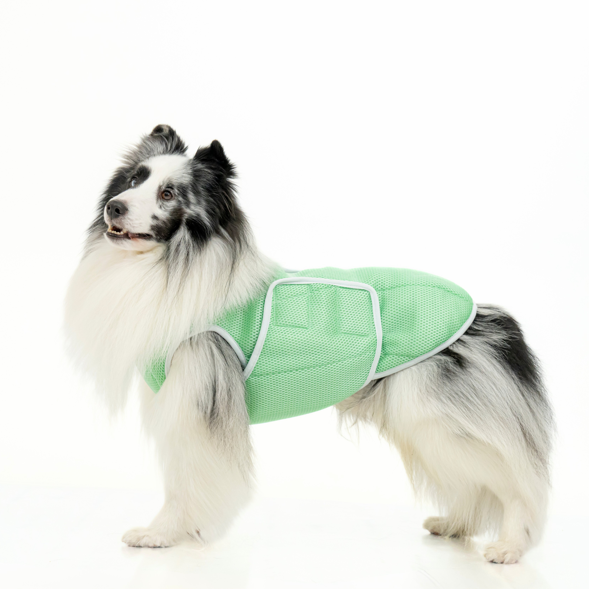 SUPER COOLING VEST REEF