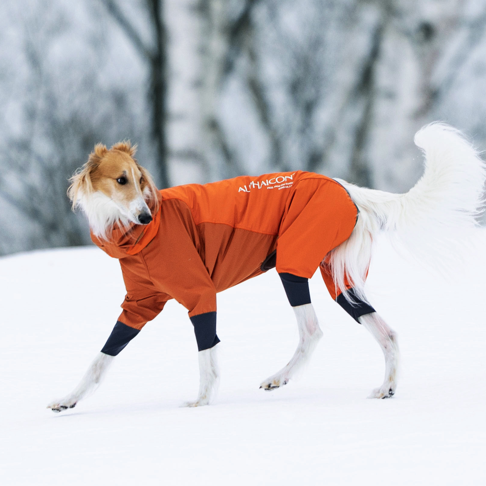 SNOW DOG GUARD DIETER ORANGE