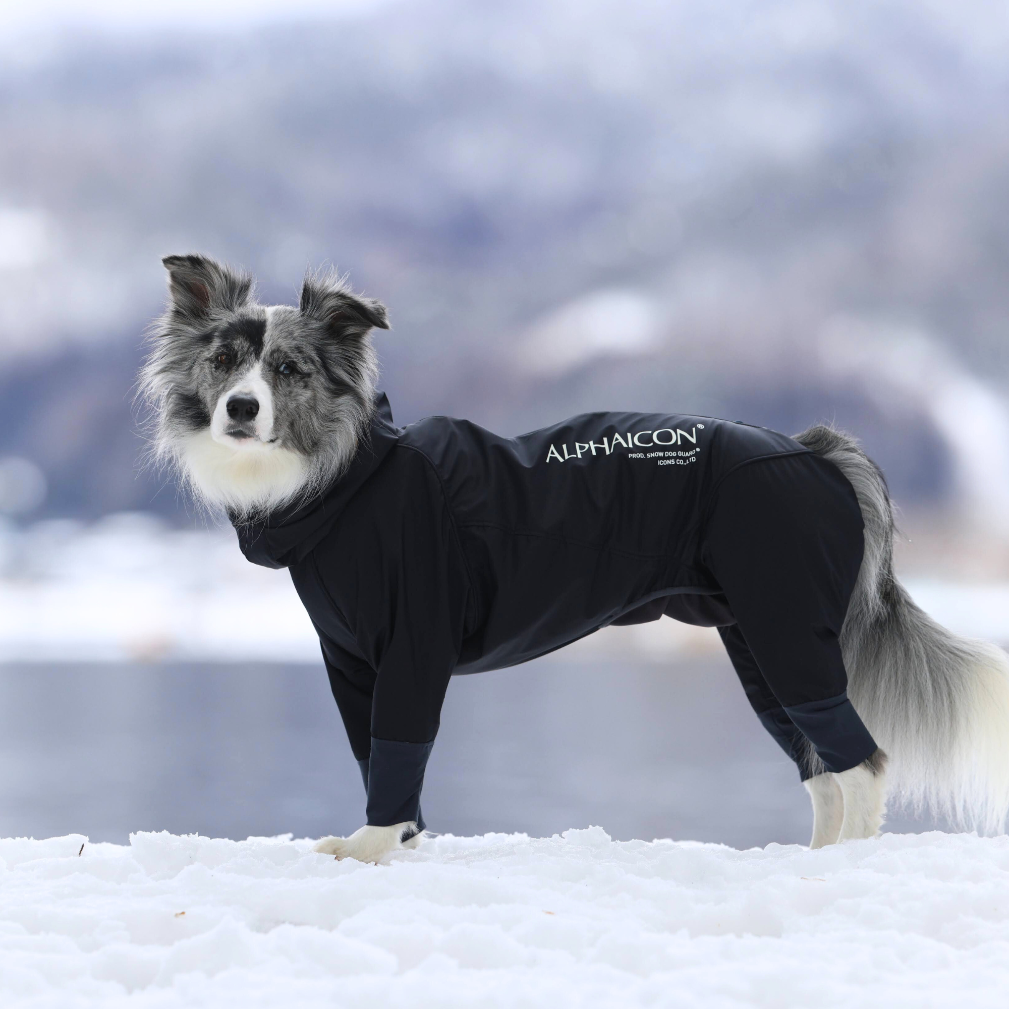 SNOW DOG GUARD　スノードッグガード　BLACK