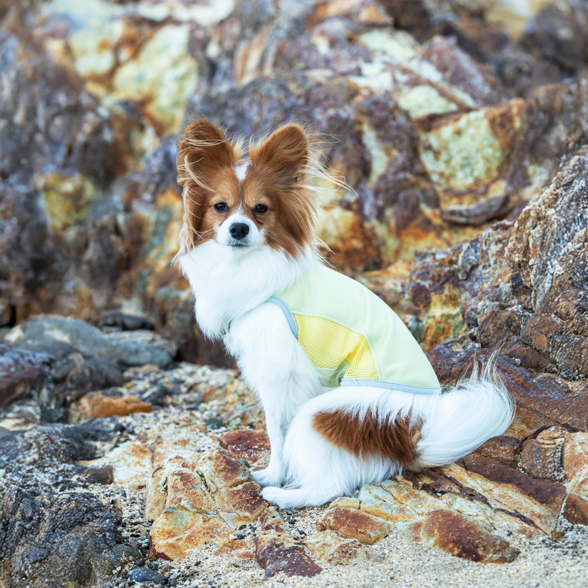 SUMMER COOLING TANKTOP　サマークーリングタンクトップ　SOL