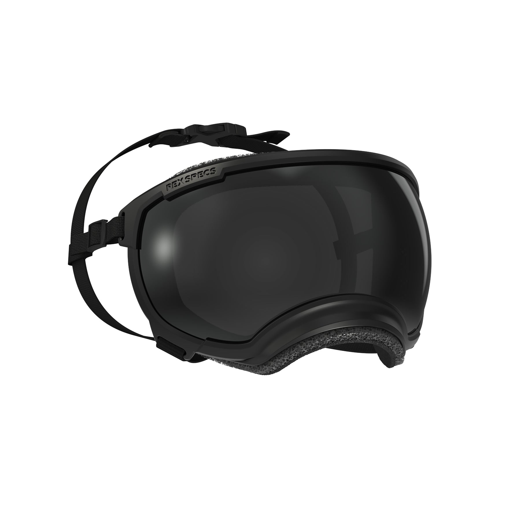 REXSPECS V2 ドッグゴーグル　Black