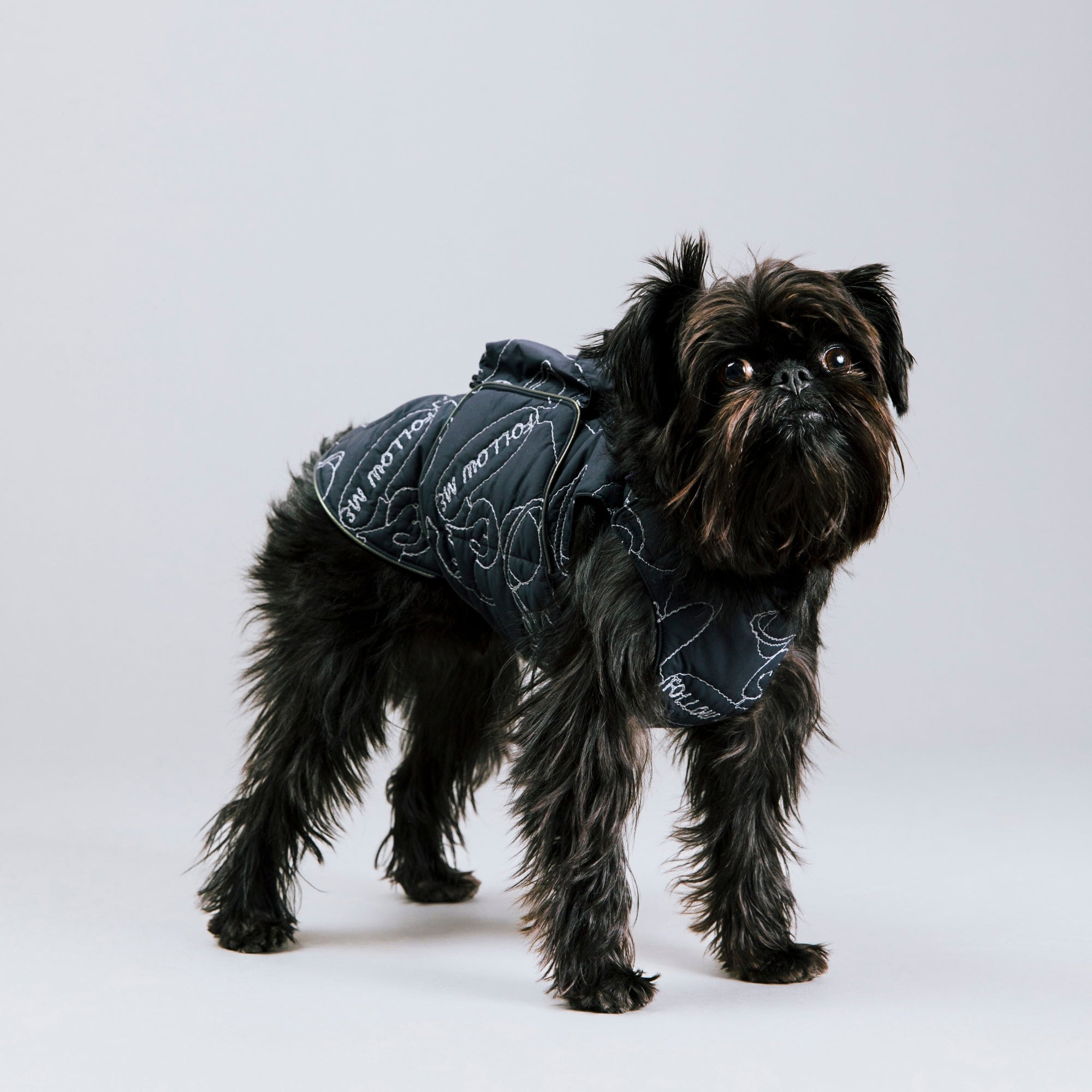 AIR LINER＋POCKET SET　エアライナー＋ポケットセット　COSMIC