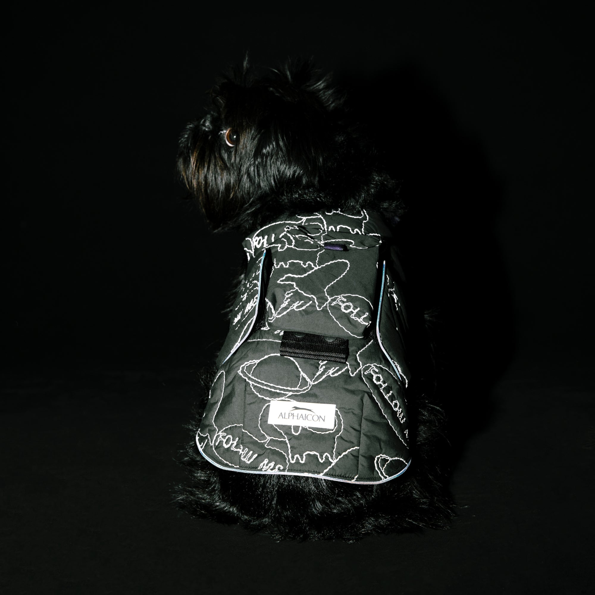 AIR LINER＋POCKET SET　エアライナー＋ポケットセット　COSMIC