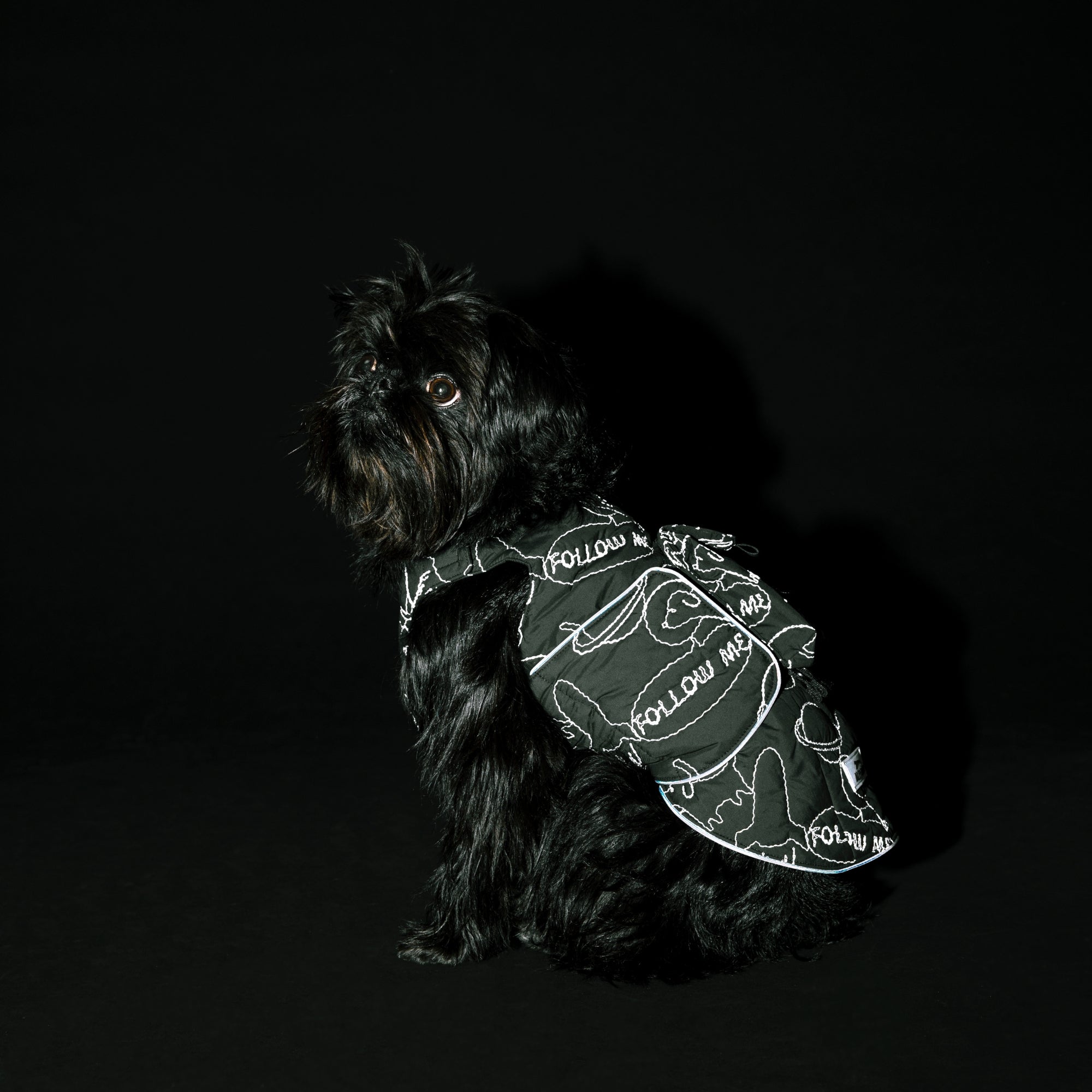 AIR LINER エアライナー COSMIC