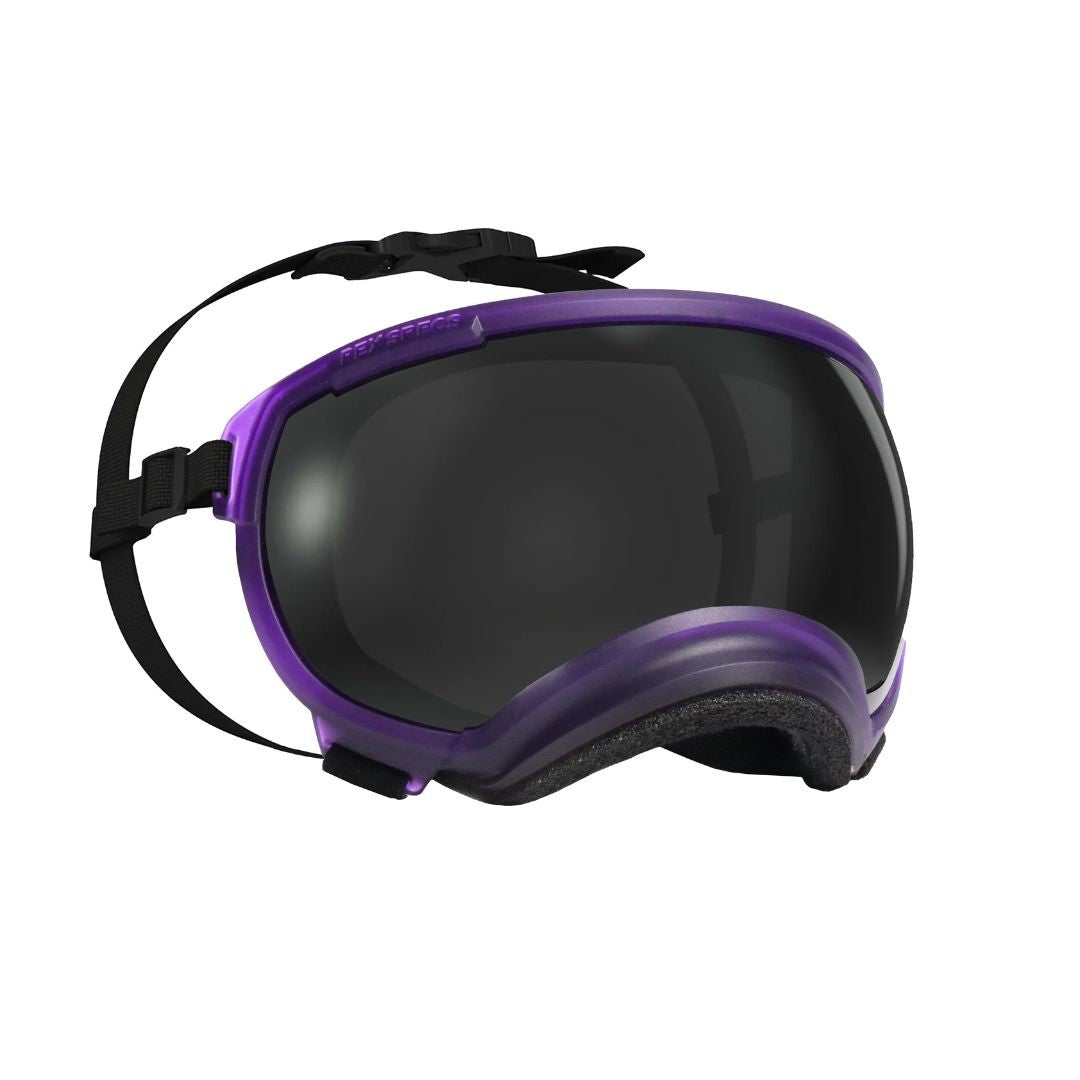 REXSPECS V2 ドッグゴーグル　Pike Purple
