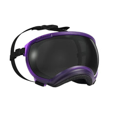 REXSPECS V2 Dog Goggles Pike Purple