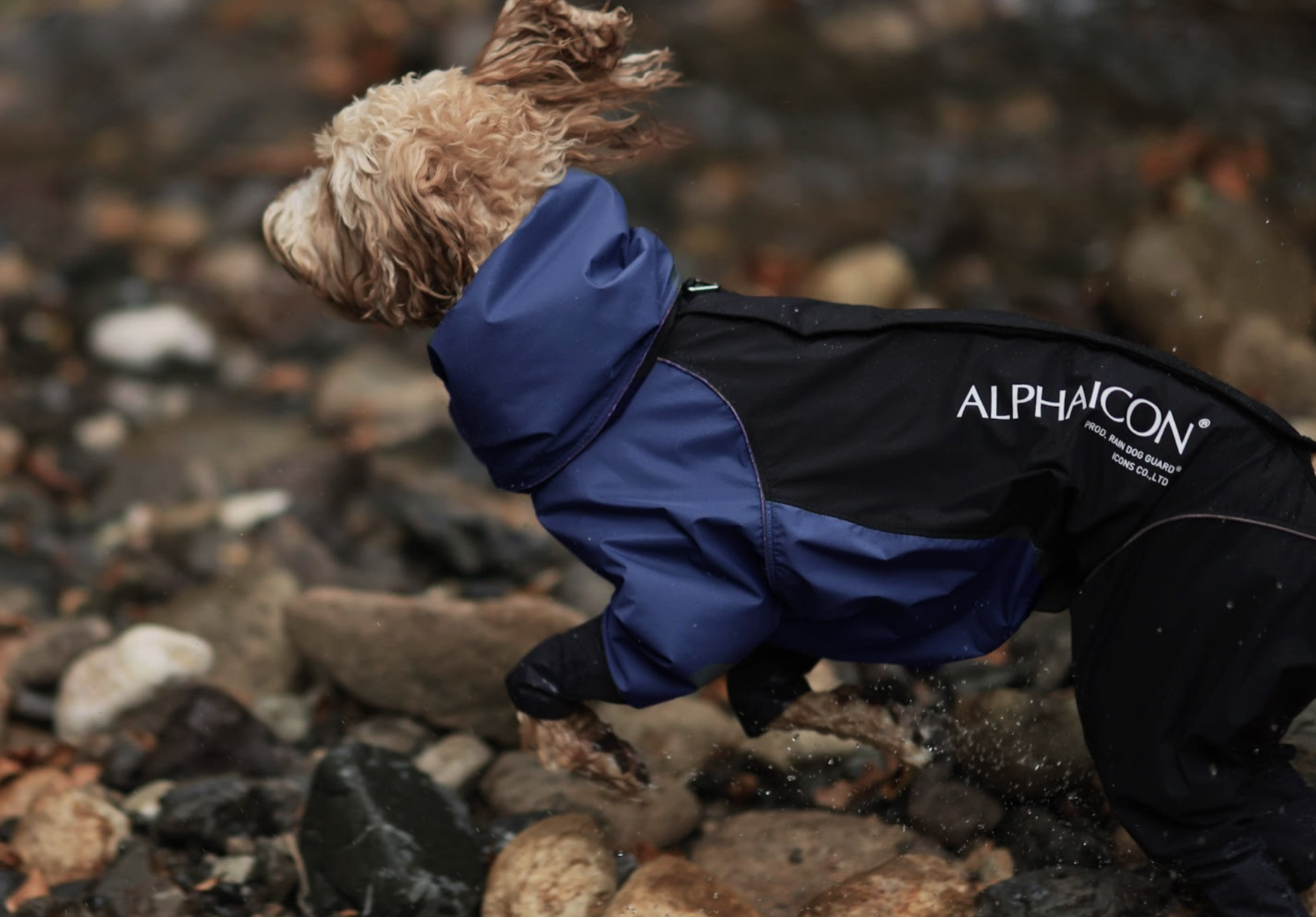 ALPHAICON レインコート ダークブルー ALPHAICON レインウェア