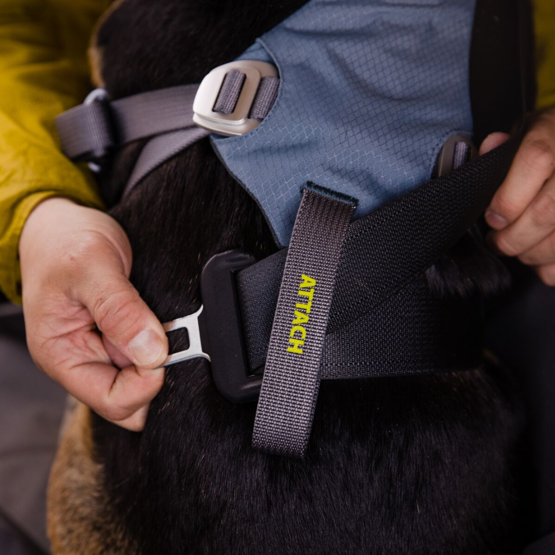 RUFFWEAR　ロードアップハーネス　SLBL　スレートブルー