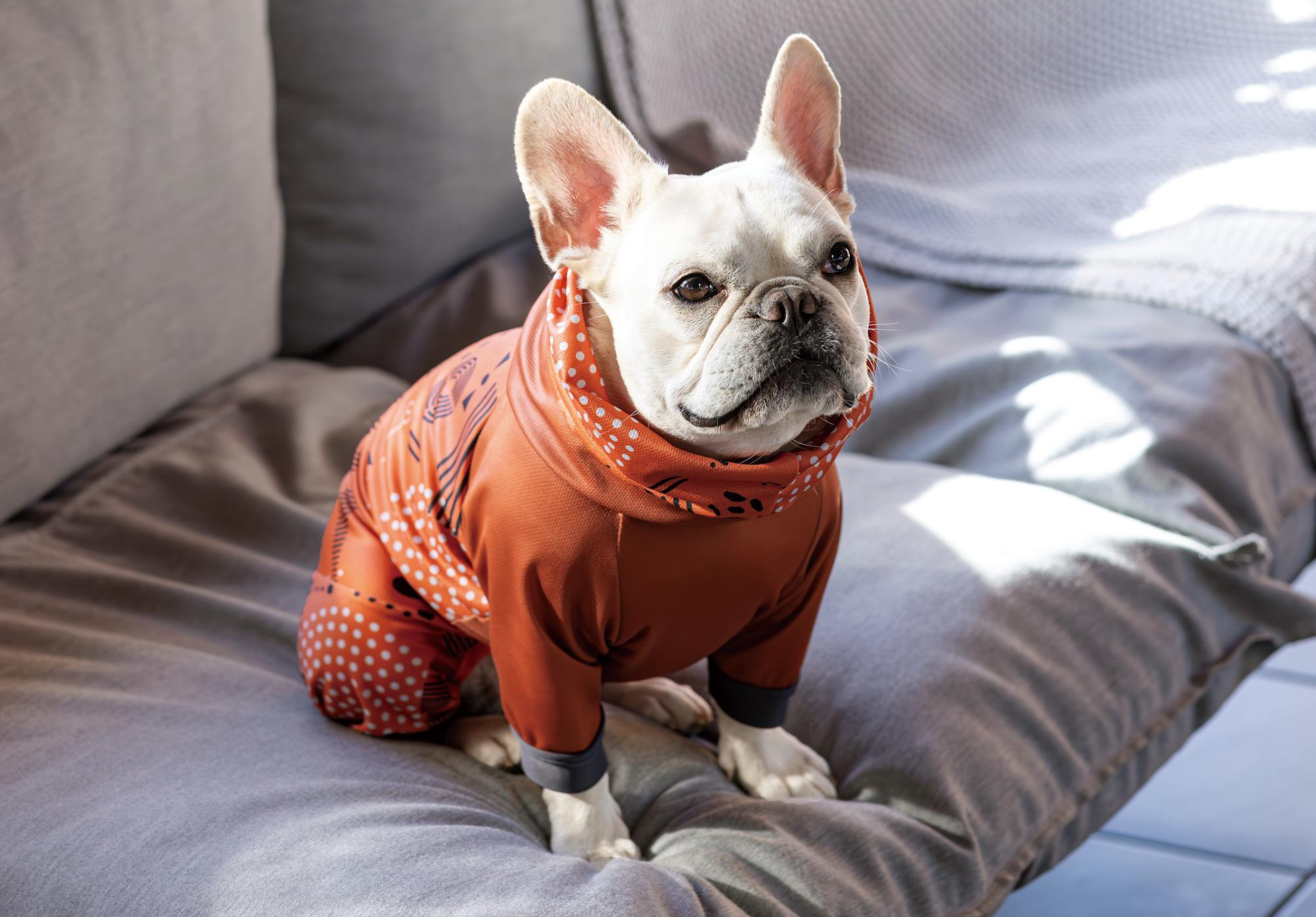 アルファアイコン ドッグガード・エア スパンニット カバーオール L