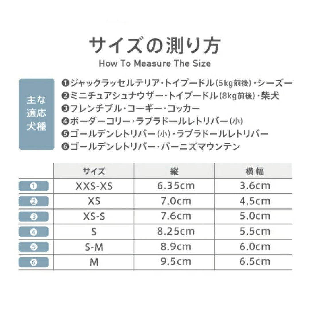 Snow Mushers　スノーマッシャーズ　ブルー